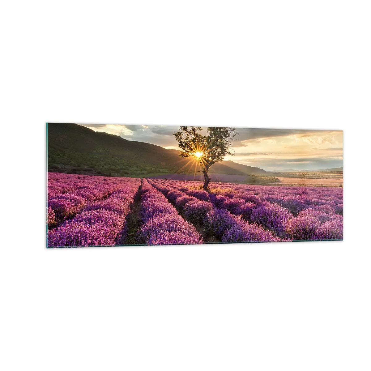 Üveg kép - Lila színű illat - 140x50 cm