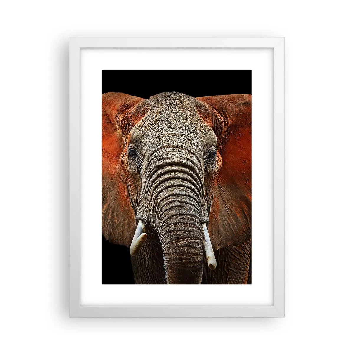 Poszter fekete keretben - Én vad vagyok, és te? - 30x40 cm