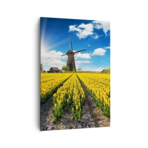 Vászonkép - Nem is lehetne hollandabb - 70x100 cm