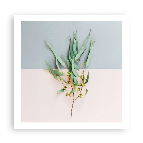 Poszter - Pasztell finomság - 60x60 cm
