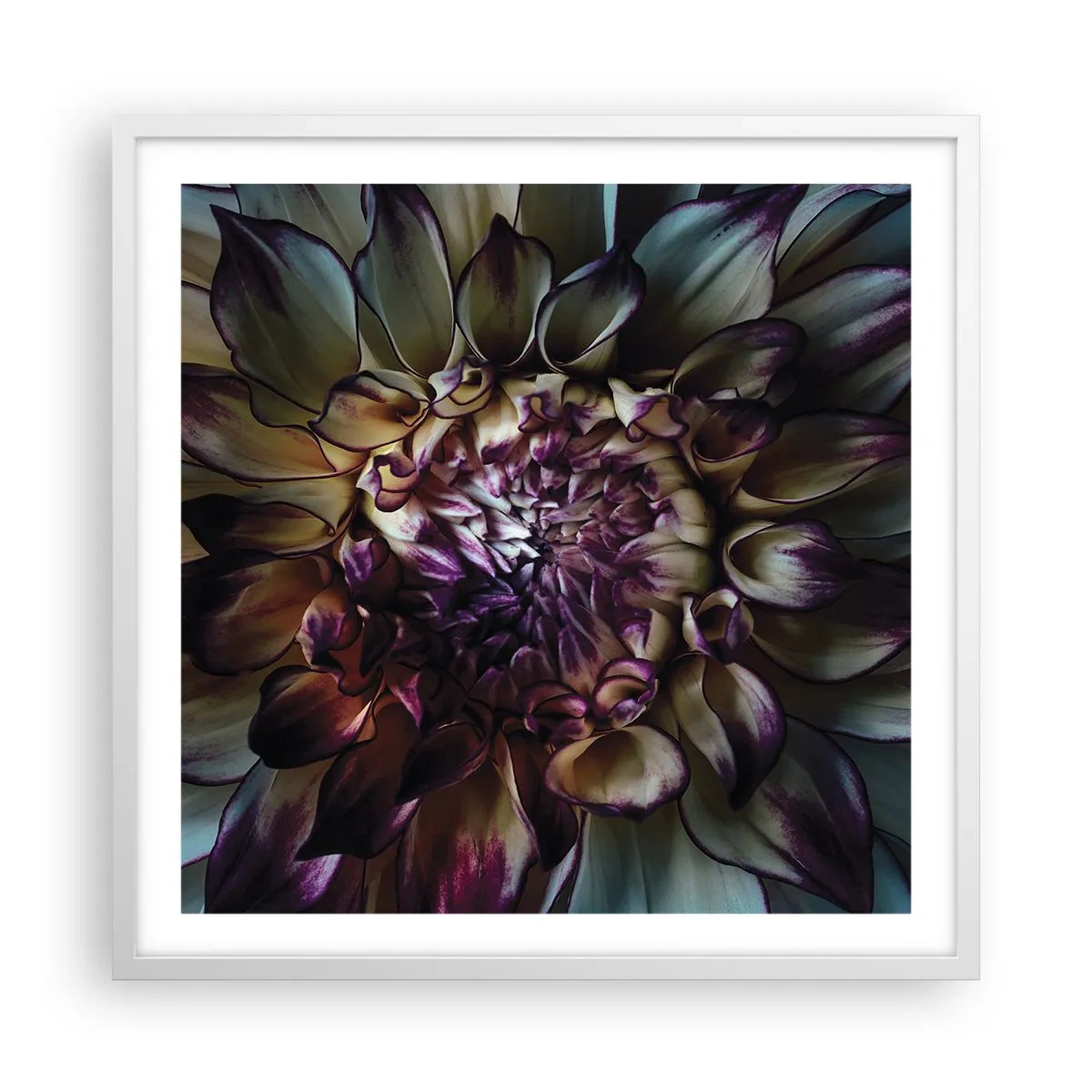 Poszter fekete keretben - A fiatalság kivirágzása - 60x60 cm