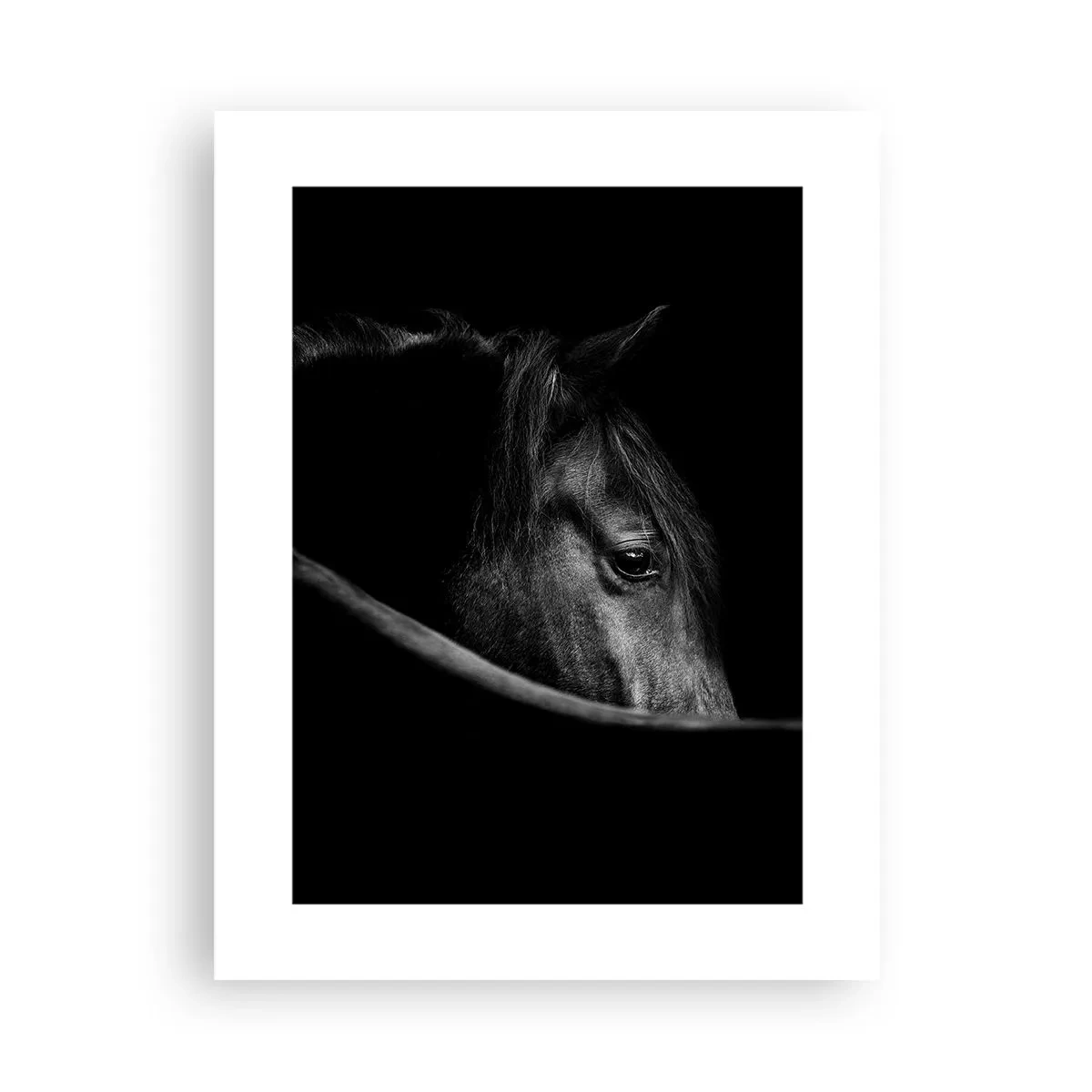 Poszter - Fekete herceg - 30x40 cm