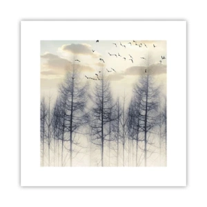 Poszter - Erdei szellemek - 30x30 cm