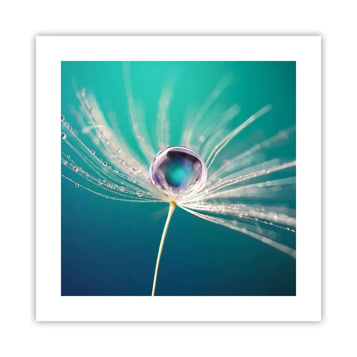 Poszter - Misztikus pillanat - 40x40 cm