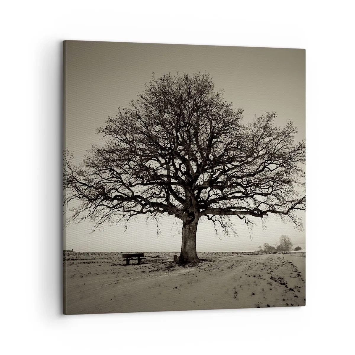 Vászonkép - Innen az örökkévalóságig - 50x50 cm