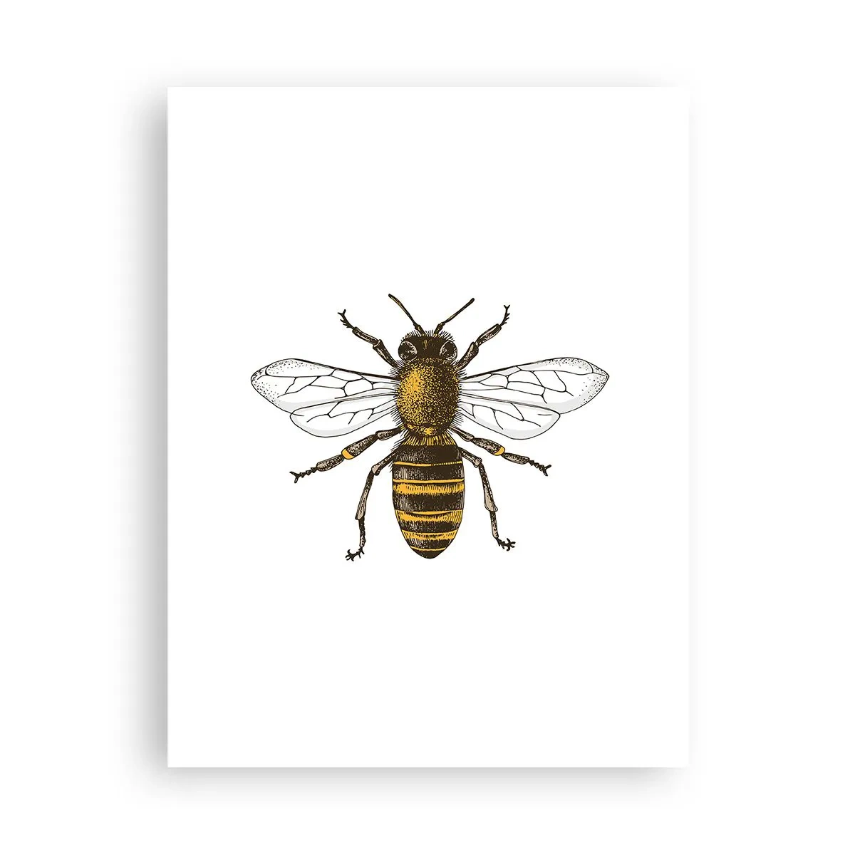 Poszter - Gyönyörű és jó - 30x40 cm