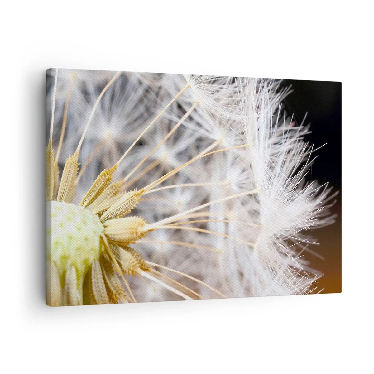 Vászonkép - Közvetlenül az indulás előtt - 70x50 cm