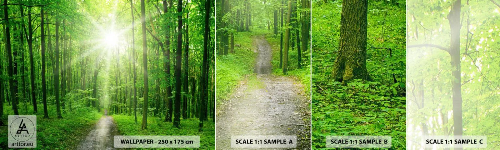 Fotótapéta Minta Öntapadós Deluxe Sticker - A zöld katedrális - Tájkép, Erdő, A nap sugarai - 100x30 cm