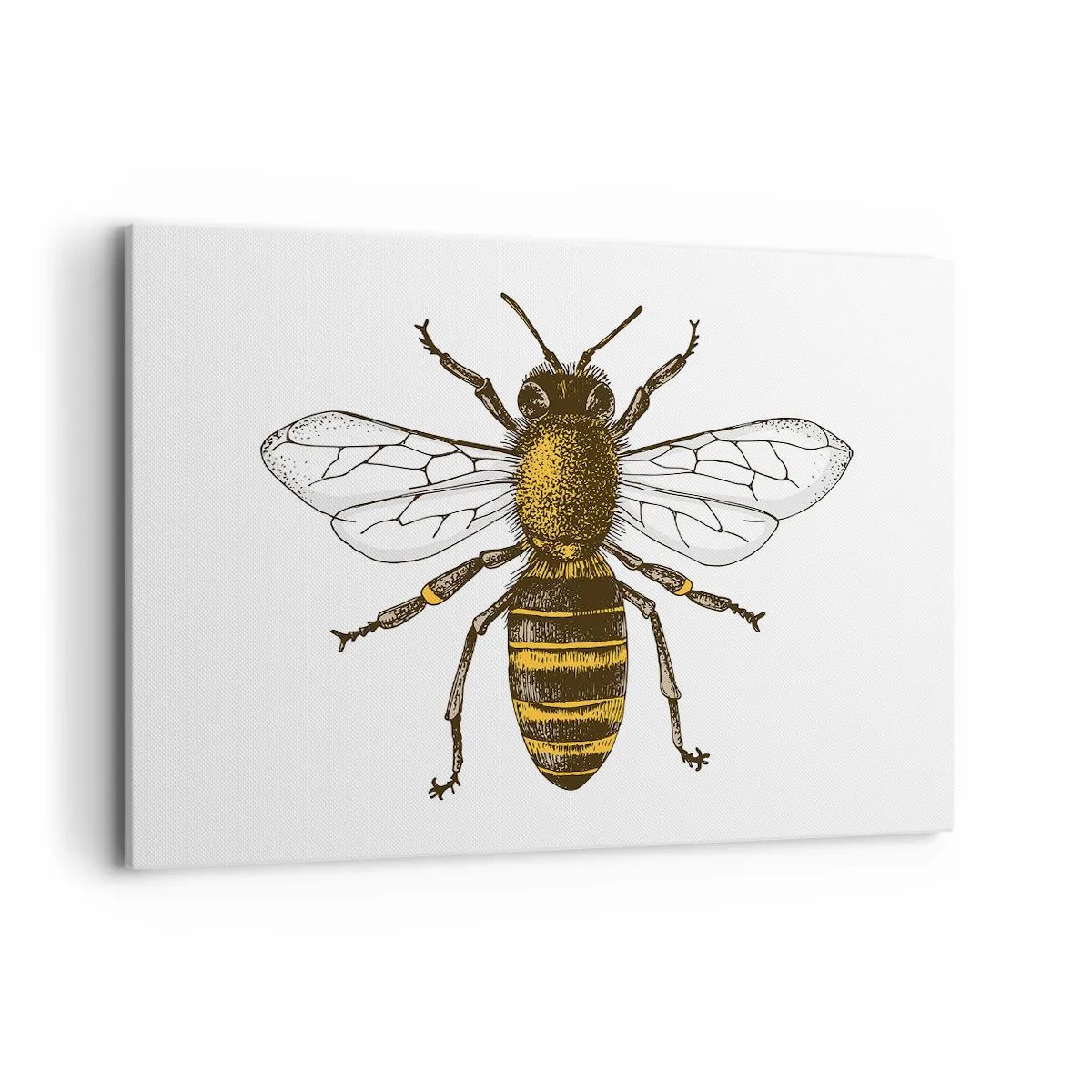 Vászonkép - Gyönyörű és jó - 120x80 cm