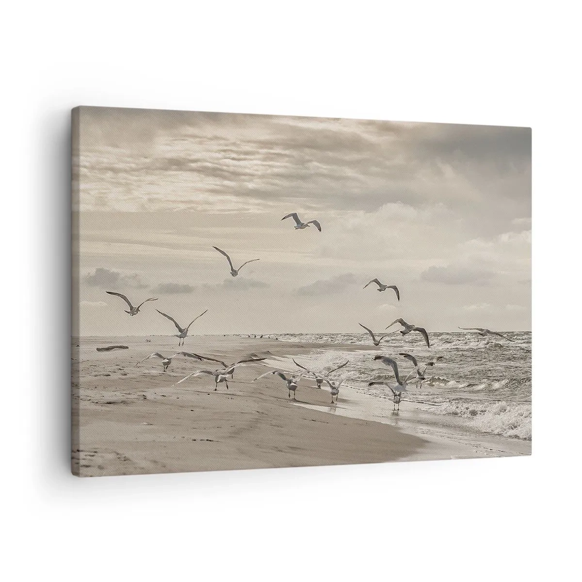 Vászonkép - Egy sirály repülés közben egy tengerparti táj felett - 70x50cm - A tenger hangja, a madarak éneke - Modern fali dekoráció nappalihoz és hálószobához ARTTOR