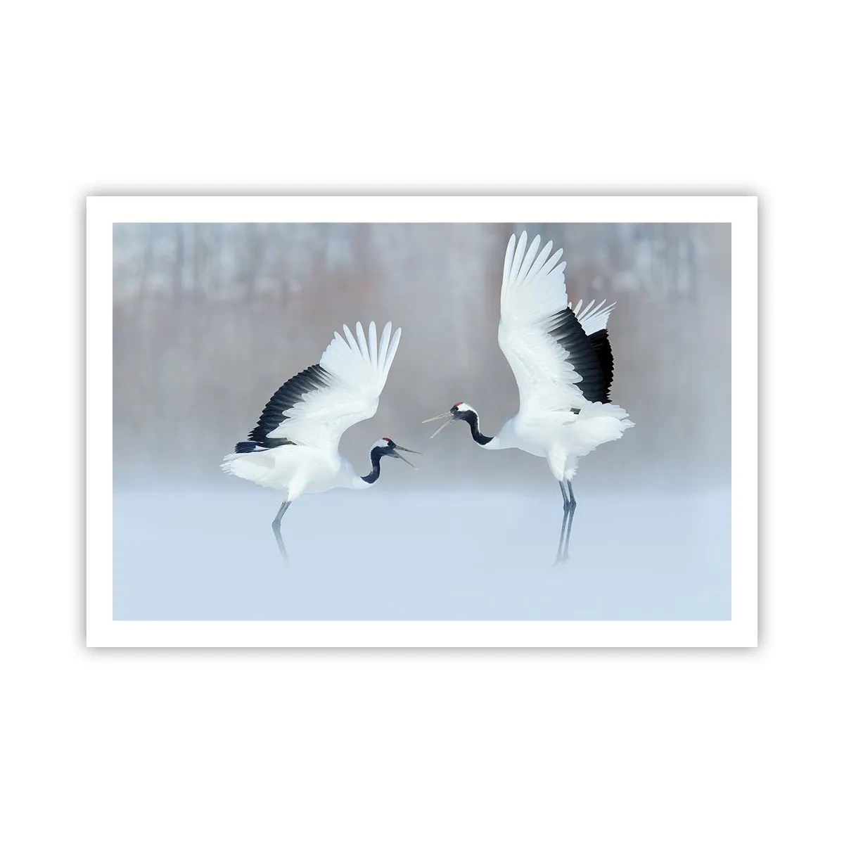 Poszter - Tánc a ködben - 91x61 cm