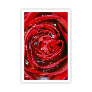 Poszter - A harmatcseppekben - 61x91 cm