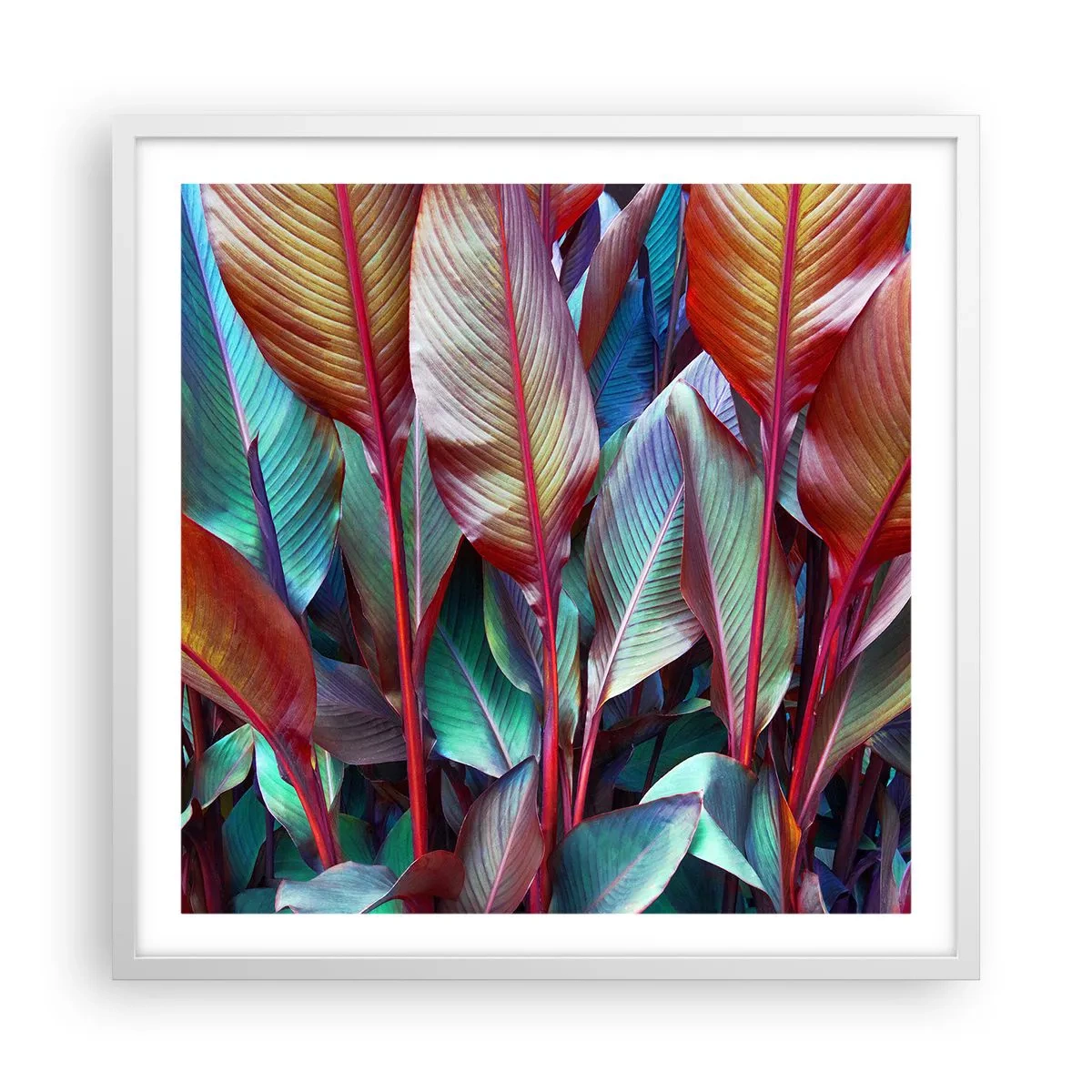 Poszter fekete keretben - Egy színes sűrű - 60x60 cm