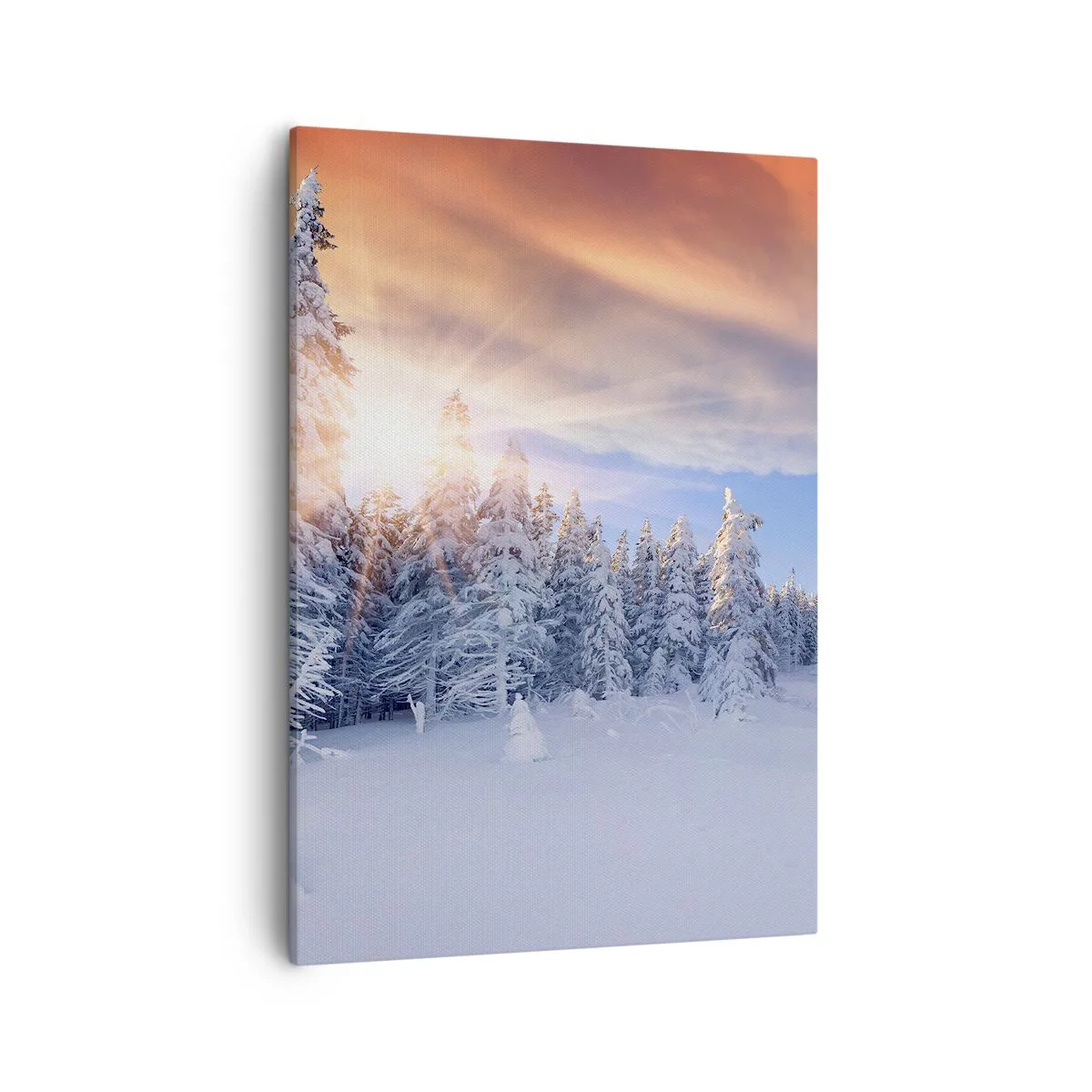 Vászonkép - A természet havas látványa - 50x70 cm