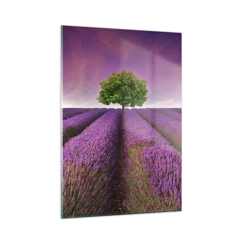 Üveg kép - Levendulaföldeken - 50x70 cm