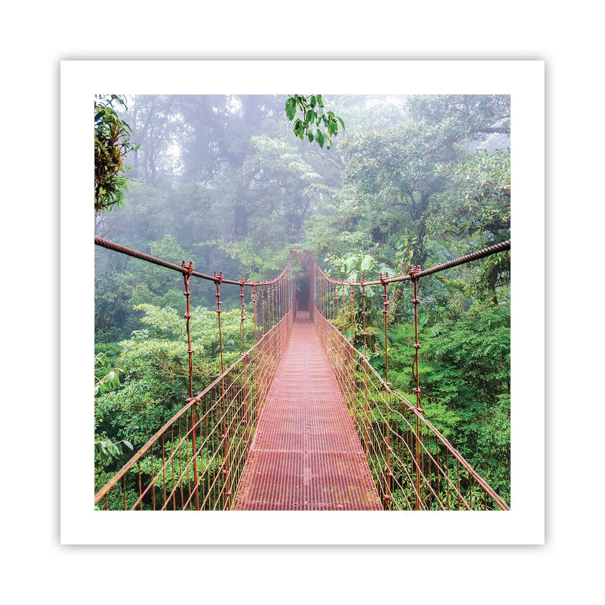 Poszter - A lomkoronák fölé függesztve - 50x50 cm