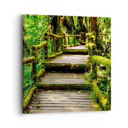 Vászonkép - A zöld folyosója - 40x40 cm