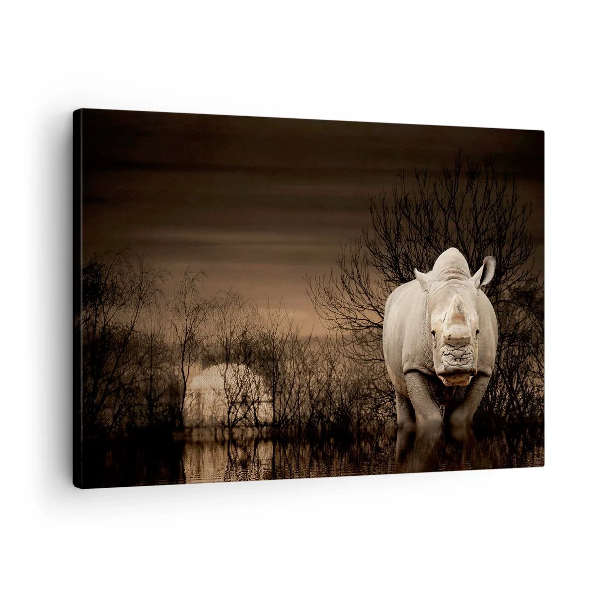 Vászonkép - Orrszarvú fák között naplementekor, vad természet. - 70x50cm - Fehér a természet ellen - Modern fali dekoráció nappalihoz és hálószobához ARTTOR
