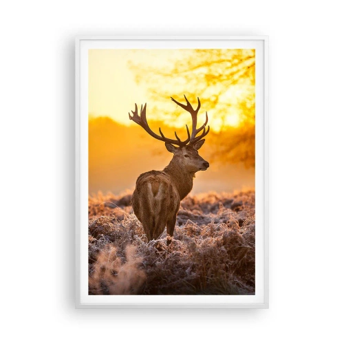 Poszter fekete keretben - Az őszi erdő királya - 70x100 cm