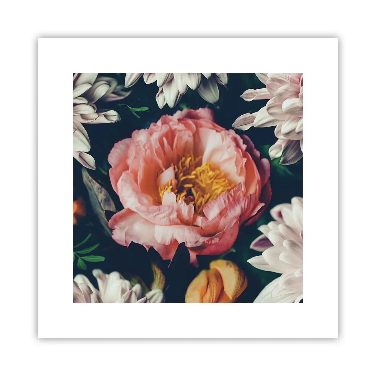 Poszter - Barokk pompával - 30x30 cm