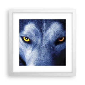 Poszter fekete keretben - Hipnotizáló nézés - 30x30 cm