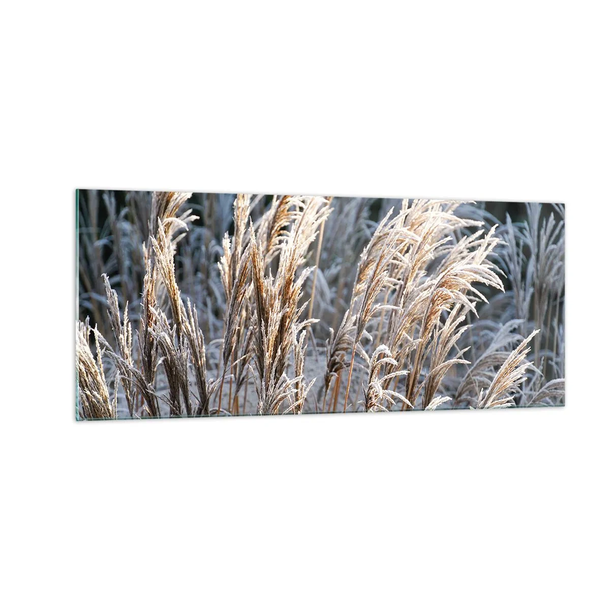 Üveg kép - Zúzmarába öltözött - 100x40 cm