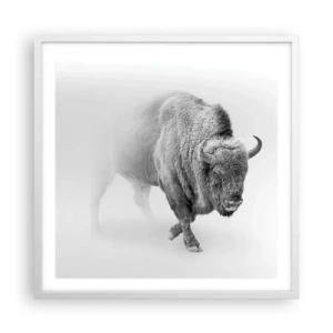 Poszter fekete keretben - A préri királya - 60x60 cm