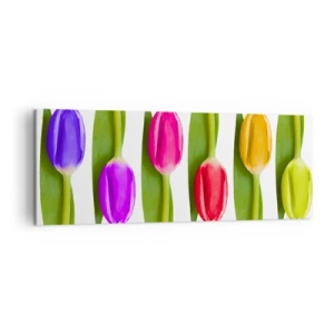 Vászonkép - Szivárvány kompozíció - 140x50 cm