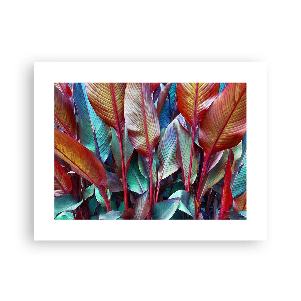 Poszter - Egy színes sűrű - 40x30 cm