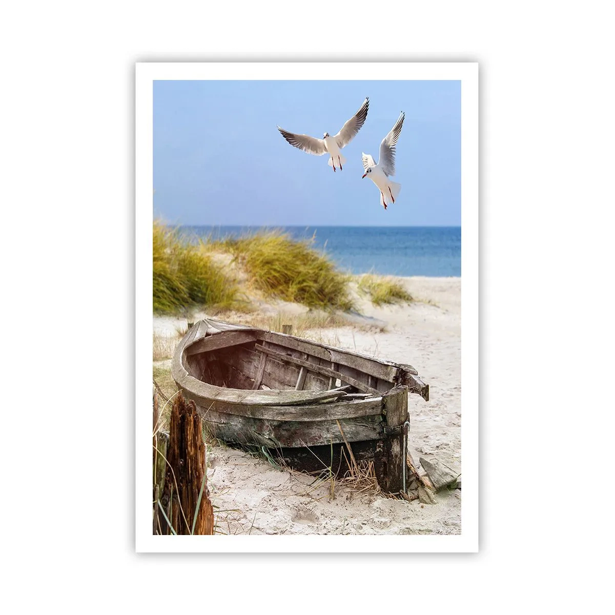 Poszter - Szélben fürödve - 70x100 cm