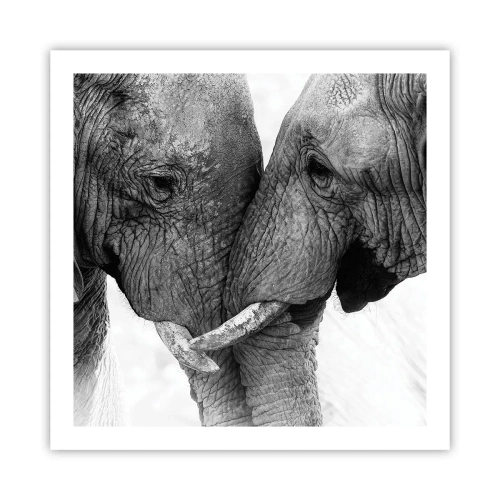 Poszter - Szívélyes vallomás - 60x60 cm