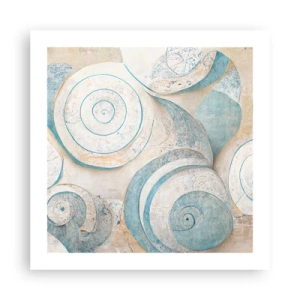 Poszter - Mit rejt a kagyló? - 50x50 cm