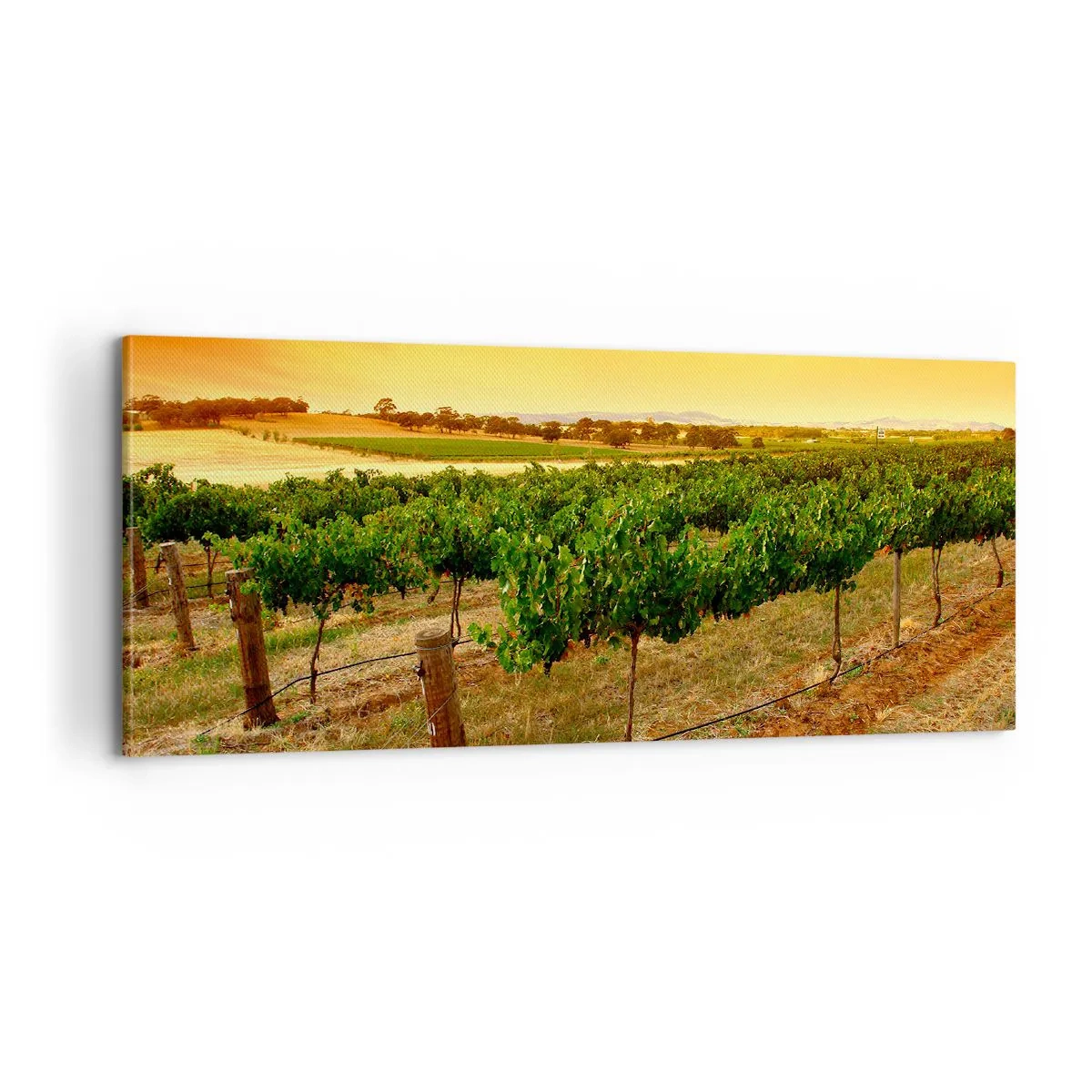Vászonkép - Inni a napot - 100x40 cm
