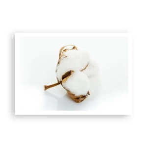 Poszter - Lágy természetű - 100x70 cm