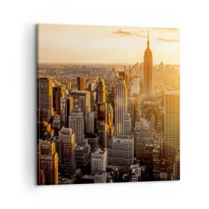 Vászonkép - Növekedni a napon - 60x60 cm