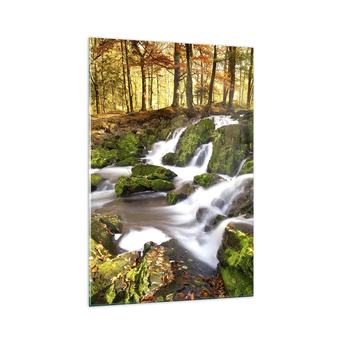 Üveg kép - Gyorsan át az őszi erdőn - 70x100 cm