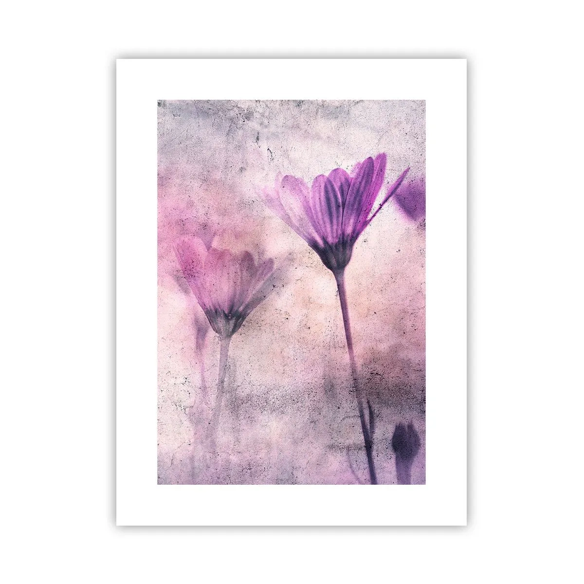 Poszter - A virágok álma  - 30x40 cm
