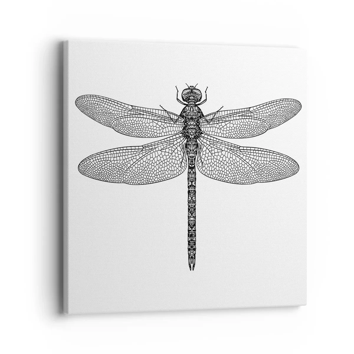 Vászonkép - A természet precizitása - 40x40 cm