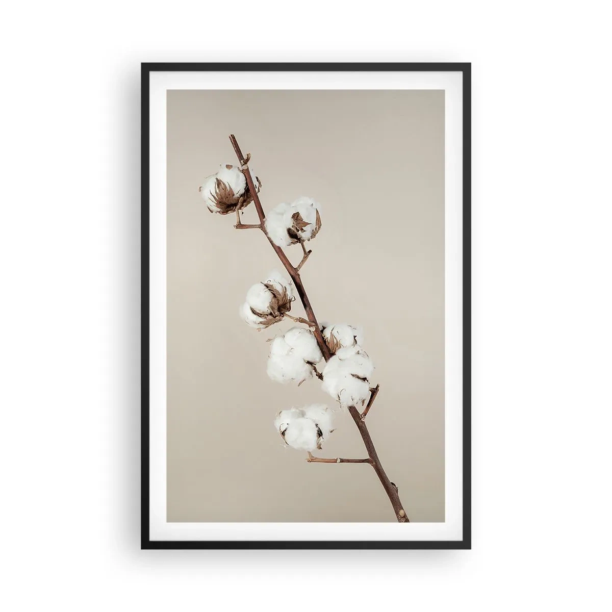 Poszter fehér keretben - A puhaság forrásánál - 61x91 cm