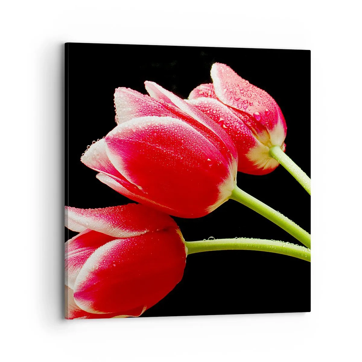 Vászonkép - A tiszta szerelem ígérete - 70x70 cm