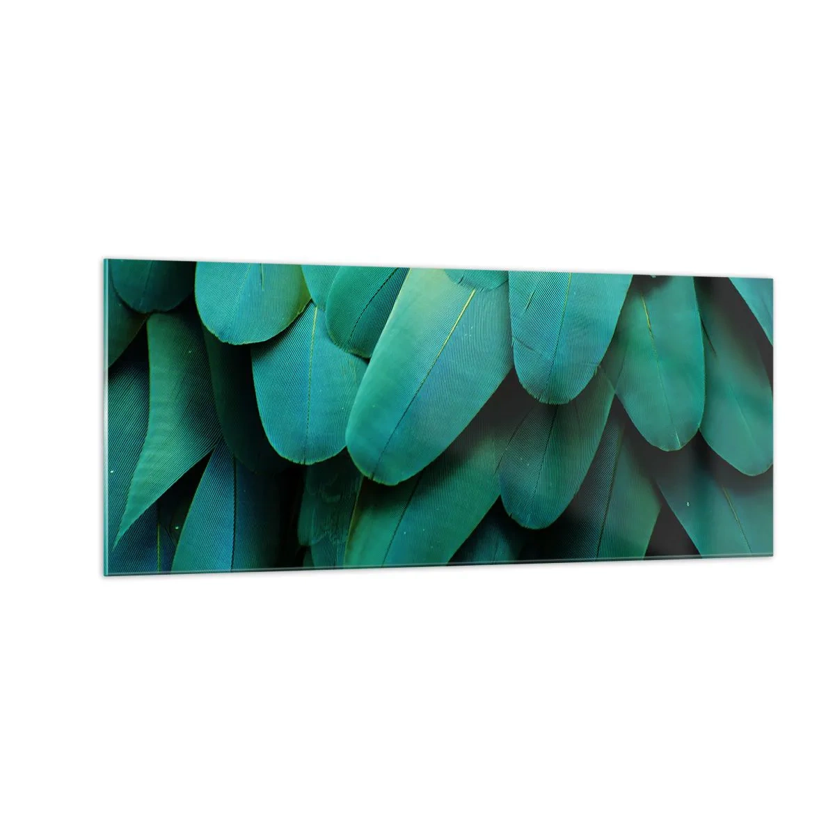 Üveg kép - A papagájtermészet precizitása - 100x40 cm