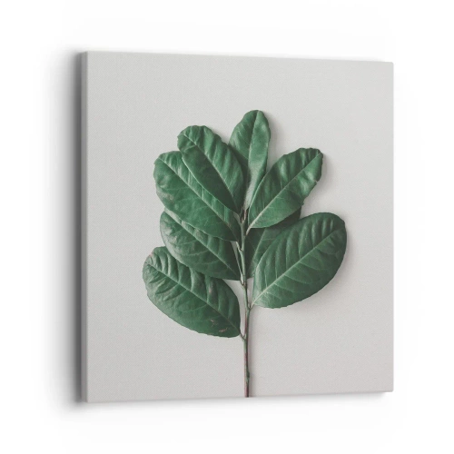 Vászonkép - Rajz csak a természetről - 40x40 cm