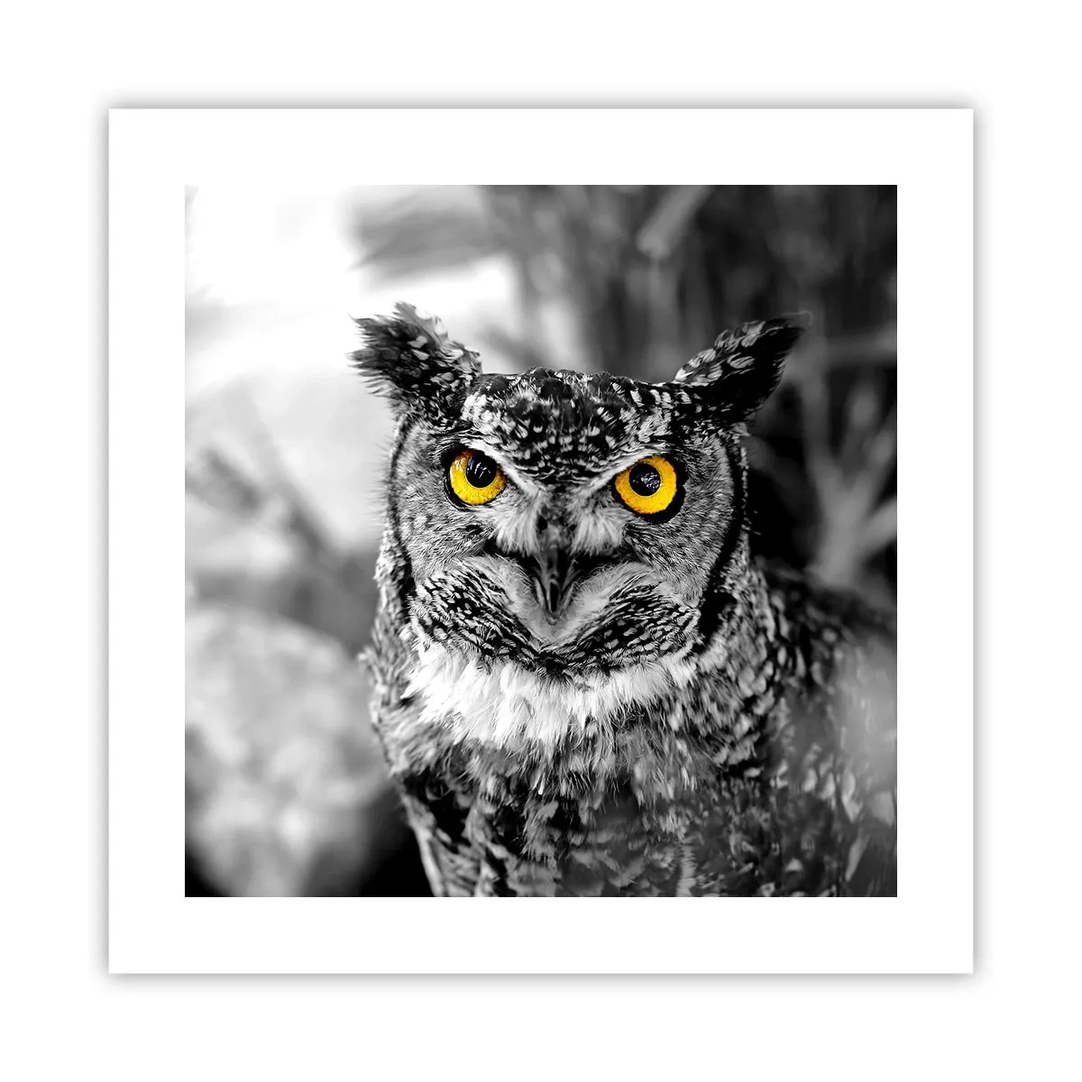 Poszter - Semmi sem fog elbújni - 40x40 cm