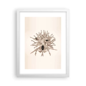 Poszter fekete keretben - Virágzás a táncban - 30x40 cm