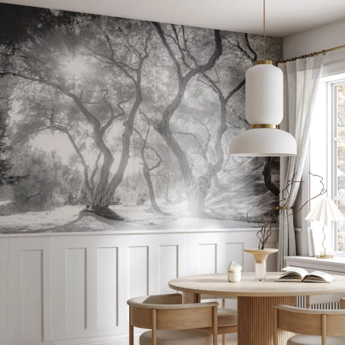 Fotótapéta Premium Sand - Egy olajfaligetben - Erdő, Téli, fák - 100x70 cm