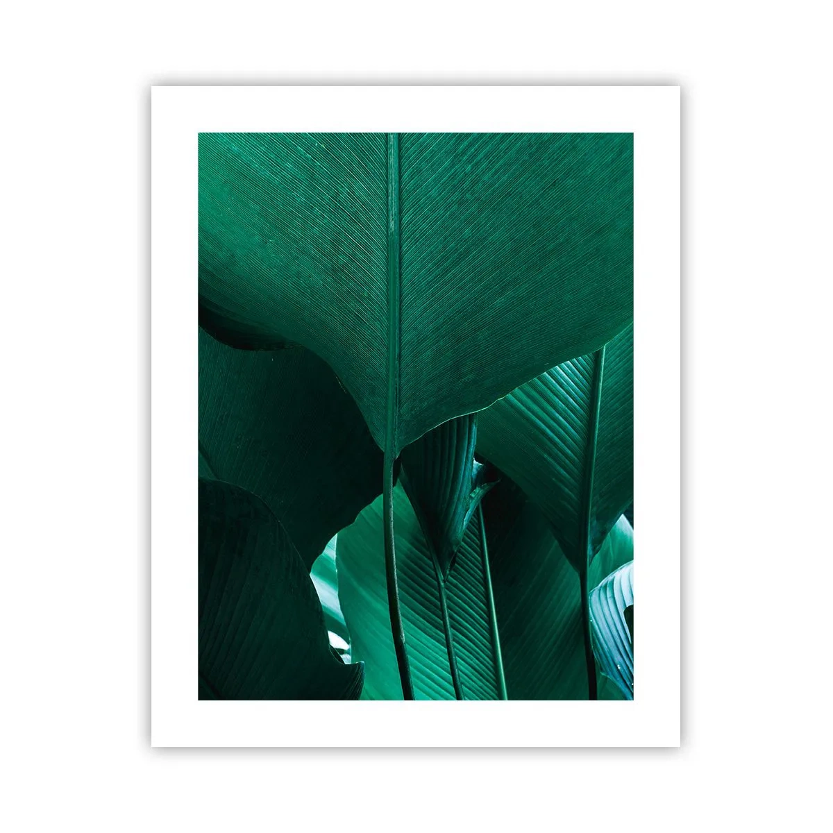 Poszter - A fény felé nézve - 40x50 cm