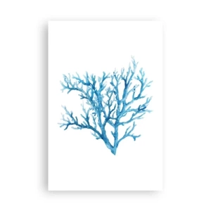 Poszter - Tengeri filigrán - 61x91 cm