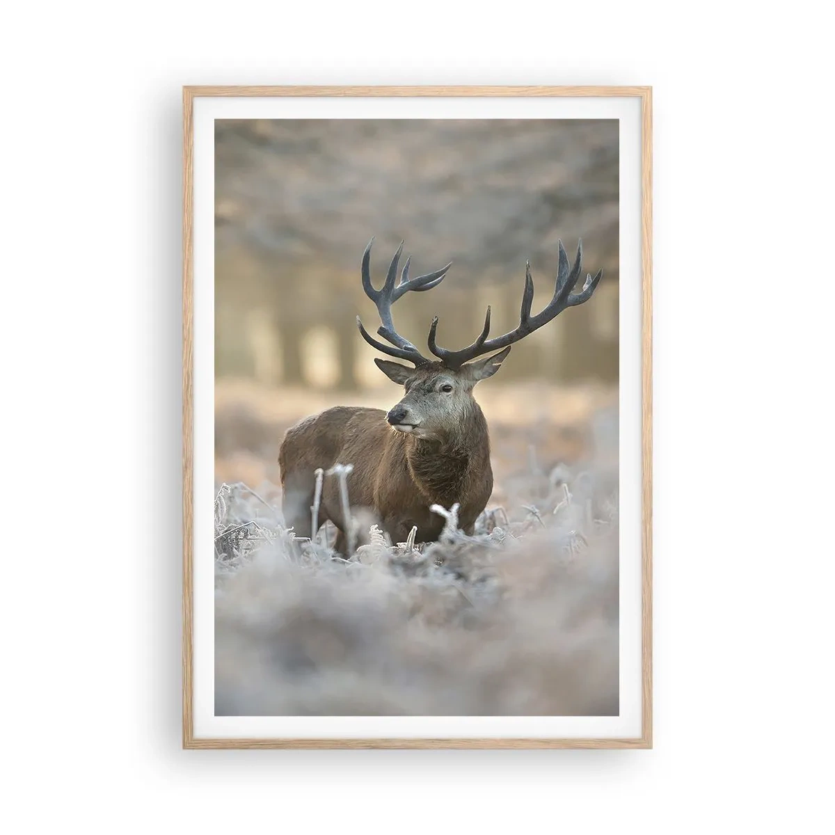 Poszter világos tölgy keretben - Friss reggel - 70x100 cm