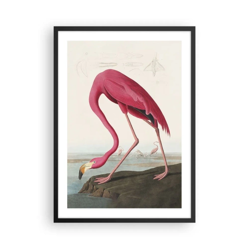 Poszter fehér keretben - Rózsaszín flamingó a természeti táj hátterében - 50x70cm - Csodálatos teremtmény - Modern fali dekoráció nappalihoz és hálószobához ARTTOR