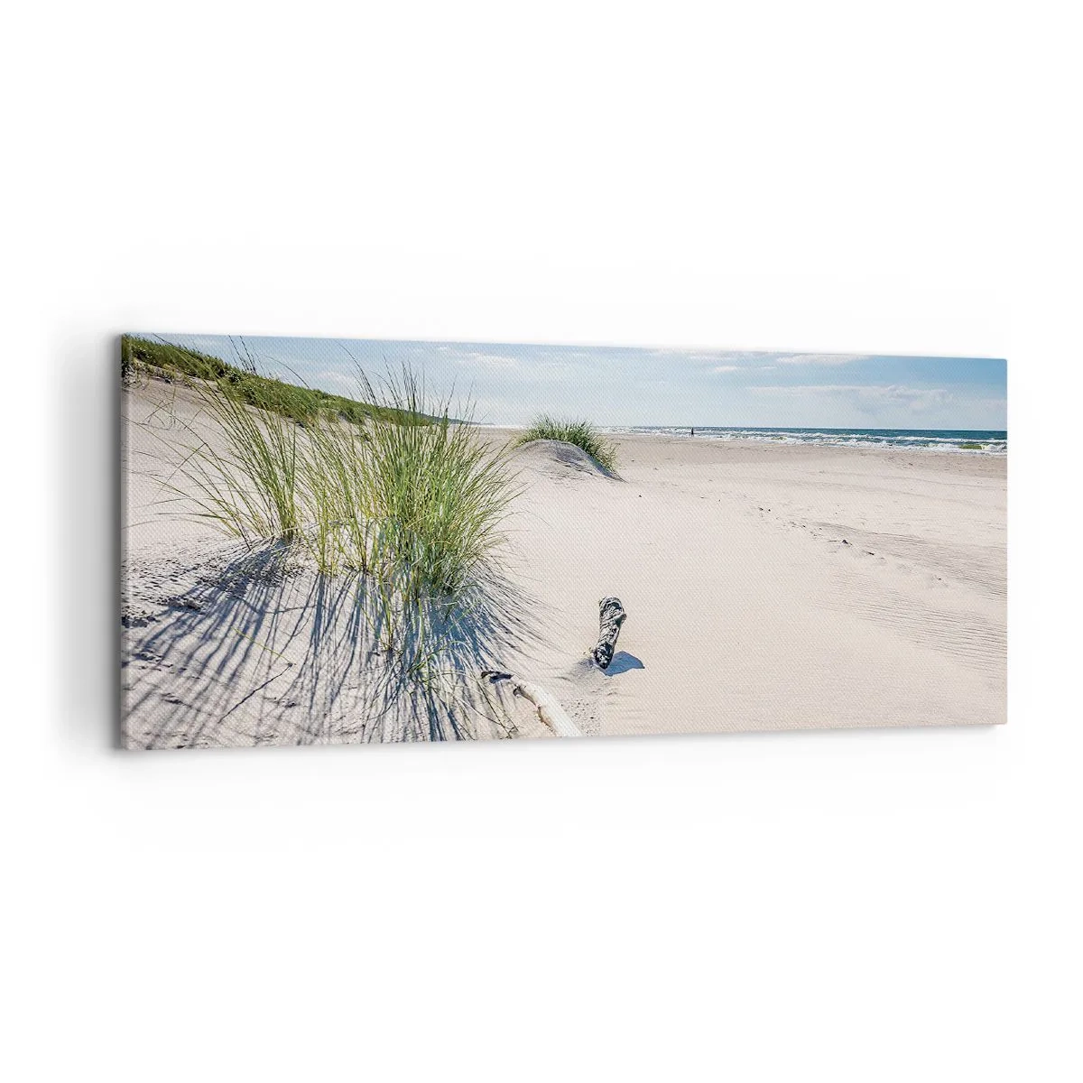 Vászonkép - A leggyönyörűbb? A Balti - 100x40 cm